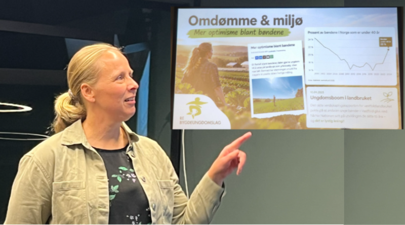 Ungt entreprenørskap